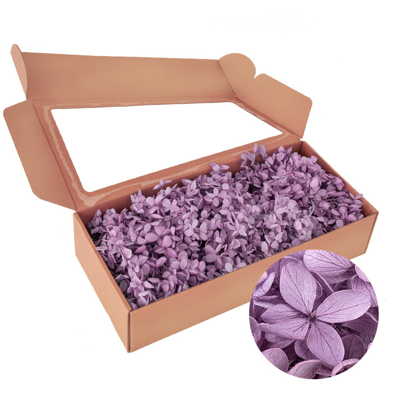 Pourpre