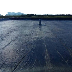 Geomembrane Pvc/ldpe/HDPE เป็นเขื่อนฝังกลบซับพลาสติกสมุทร - Product Image 3