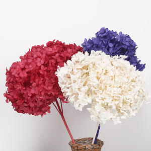 装饰干燥大 Hydragea 真正保存长柄绣球花 - Product Image 4