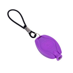 Offre Spéciale Mini Led Cob Lampe de poche Kechain Mini Led Porte-clés <span class=keywords><strong>Torchlight</strong></span> Porte-clés Led Lampe de poche - Product Image 1