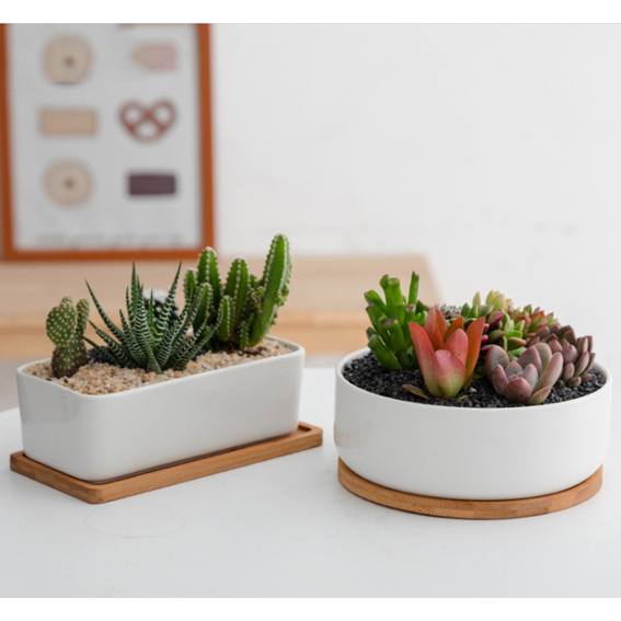 White-1pc Round +1pc Rectangular set