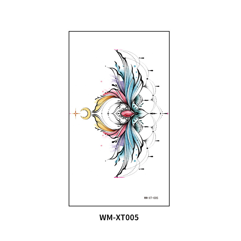 WM-XT-005