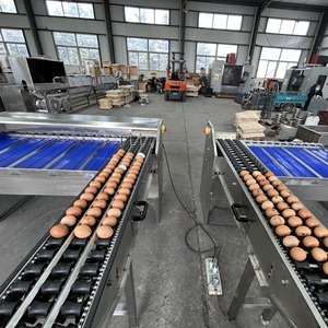 高效鸡蛋分选机鸡蛋大小重量分选机分类自动小型分级机分类 - Product Image 6