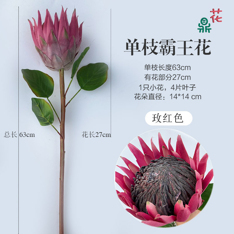 Tige unique de Reine de la Nuit (Rose Rouge)