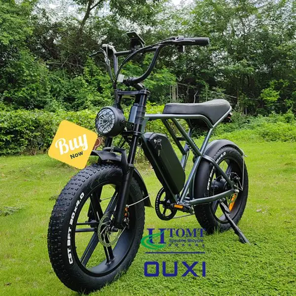 จักรยานไฟฟ้า H9ออฟโร้ด Ouxi โกดังเก็บจักรยานไฟฟ้าประเทศสหรัฐอเมริกา V8