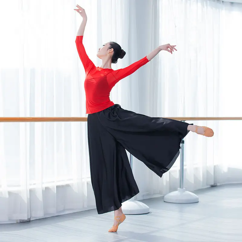 Trajes de baile modernos para adultos, Tops de práctica de baile clásico, pantalones largos de Yoga baratos