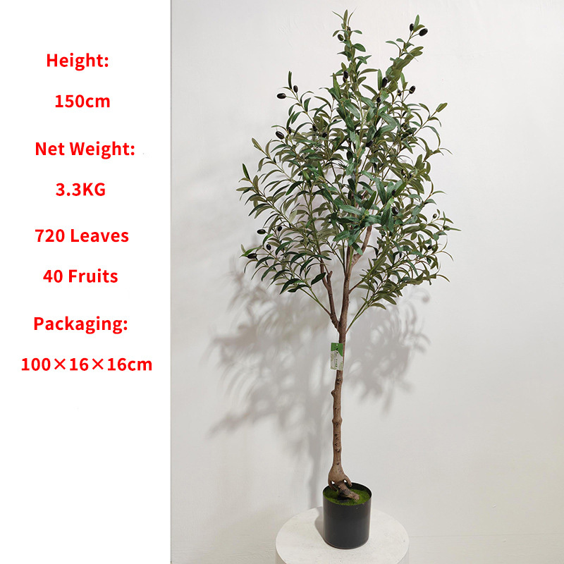 Olivier 150 cm (détachable)