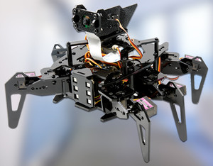 Robot ragno stelo educativo lampone Pi esapode ragno che cammina strisciando Robot WiFi fotocamera AI Kit di robotica di programmazione - Product Image 5