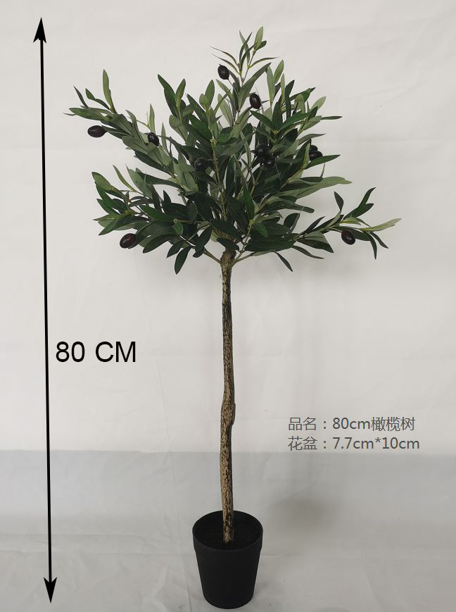 80 cm