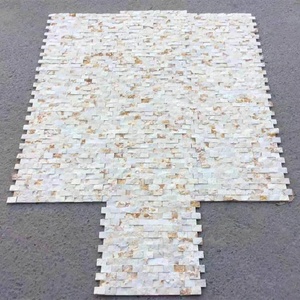 Современный дизайн, желтая облицовка стен, антацисорная отделка - Product Image 2