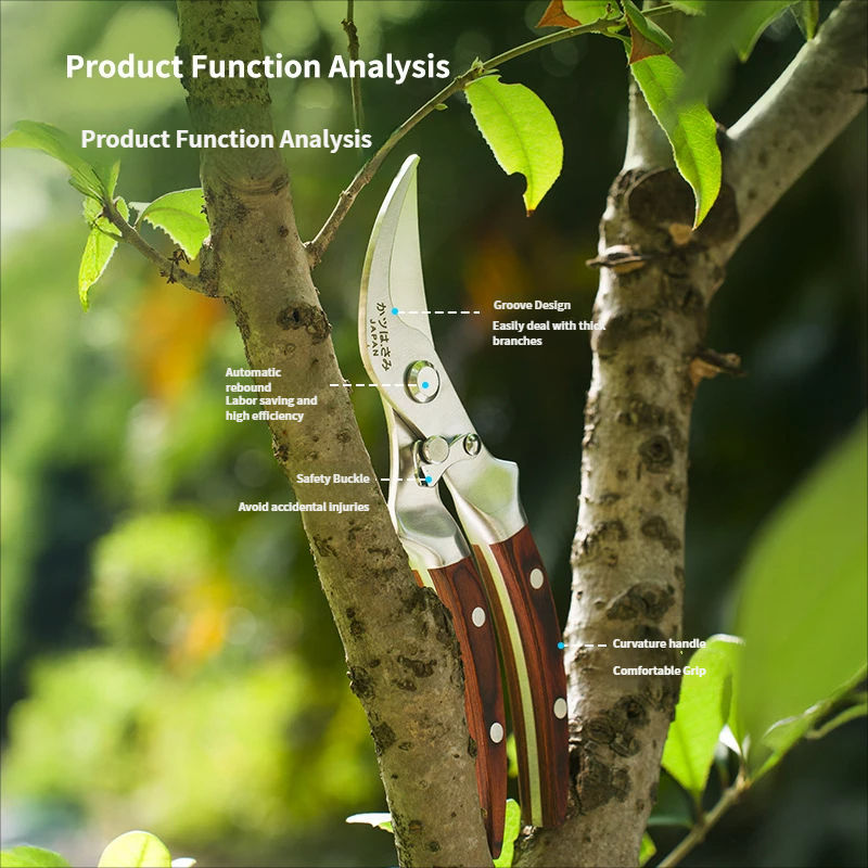 Ciseaux de jardin multifonctions argentés
