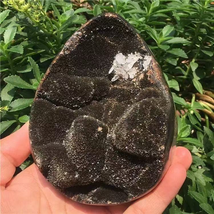 Natural Septarian Dragon Egg Geode
