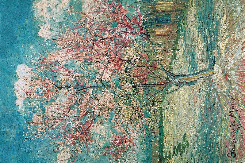 33-111 peach blossom