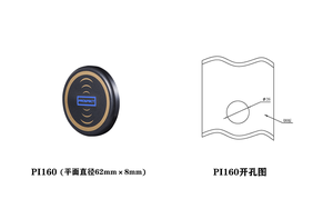 PROSPECT PI Series Elevator <strong>Access</strong> <strong>Control</strong> <strong>System</strong> with IC <strong>Card</strong> Lift Door Lock <strong>Access</strong> FRID Biometrics Identification RS485 CAN