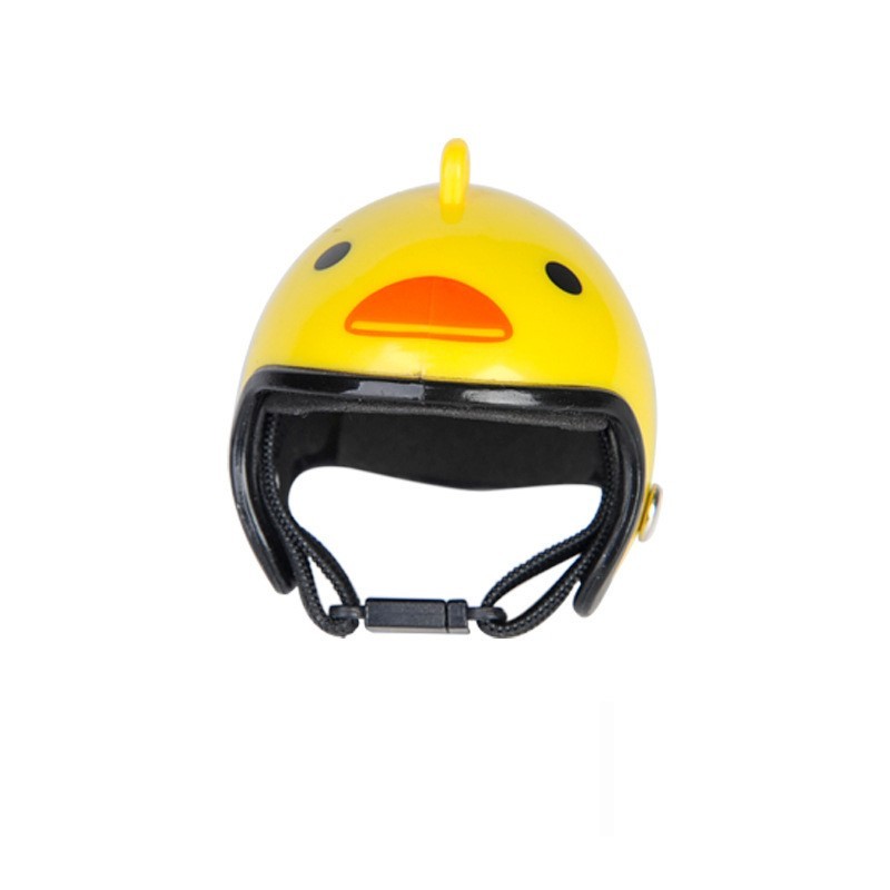 Canard