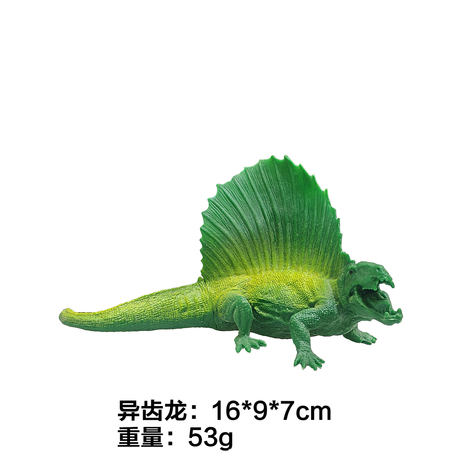 Dimetrodon creux de 7 pouces