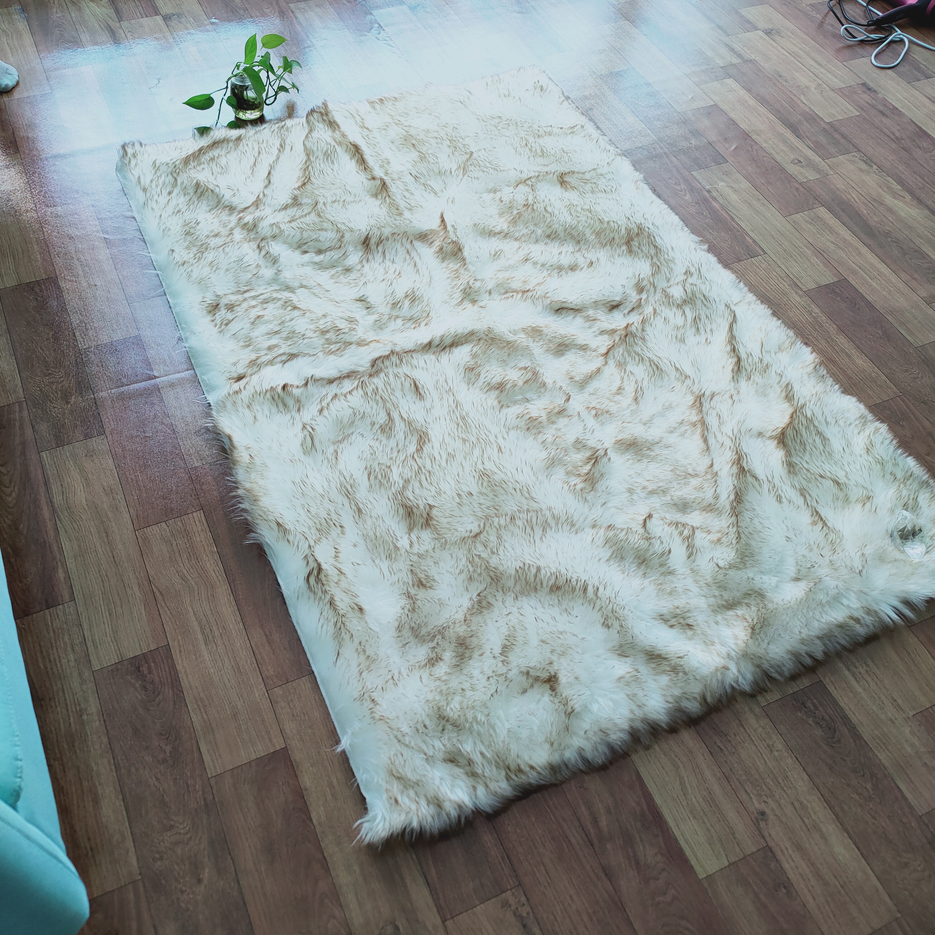 Bianco con punta marrone