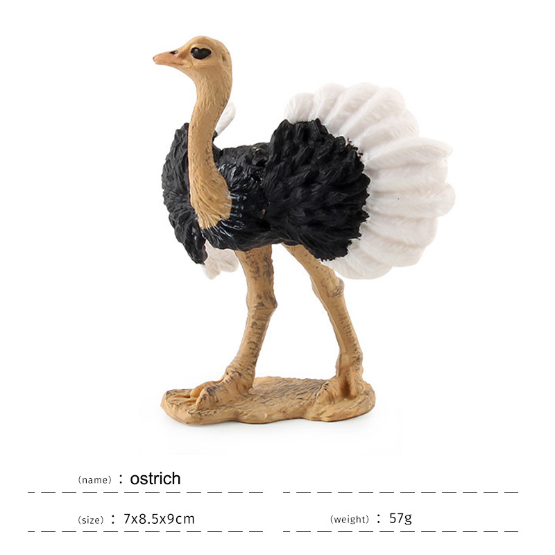 ostrich