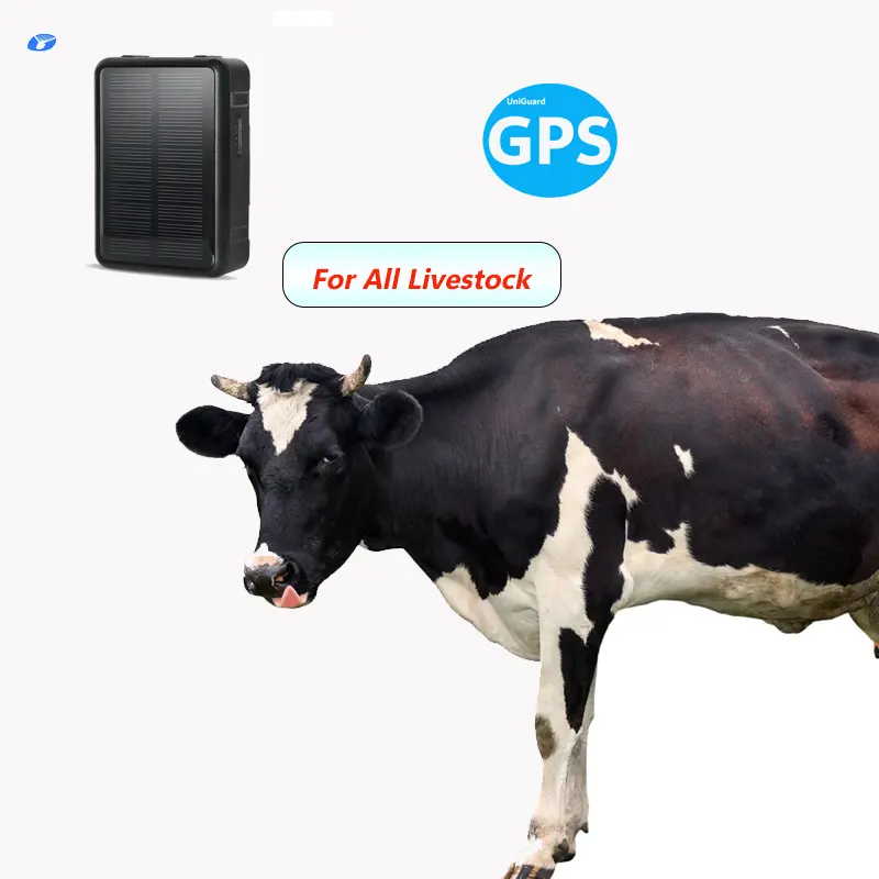 بدون اشتراك ولا رسم شهري جهاز تعقب للكلاب جي بي اس 4g طوق GPS 4g محمول بالطاقة الشمسية قابل للشحن جهاز تعقب للحيوانات IP67 مضاد للماء