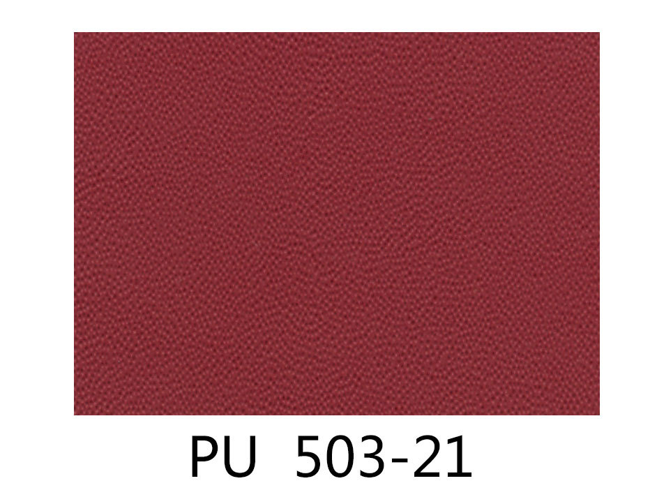 PU503-21