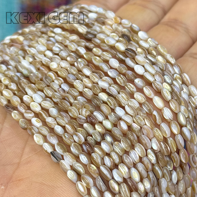 Perles de coquillage en forme de riz 3x5mm, couleur marron