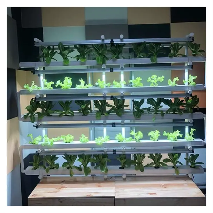 Sistema de cultivo de jardín de hierbas para interiores hidropónico con función de temporizador inteligente para sistema de granja de cocina casera