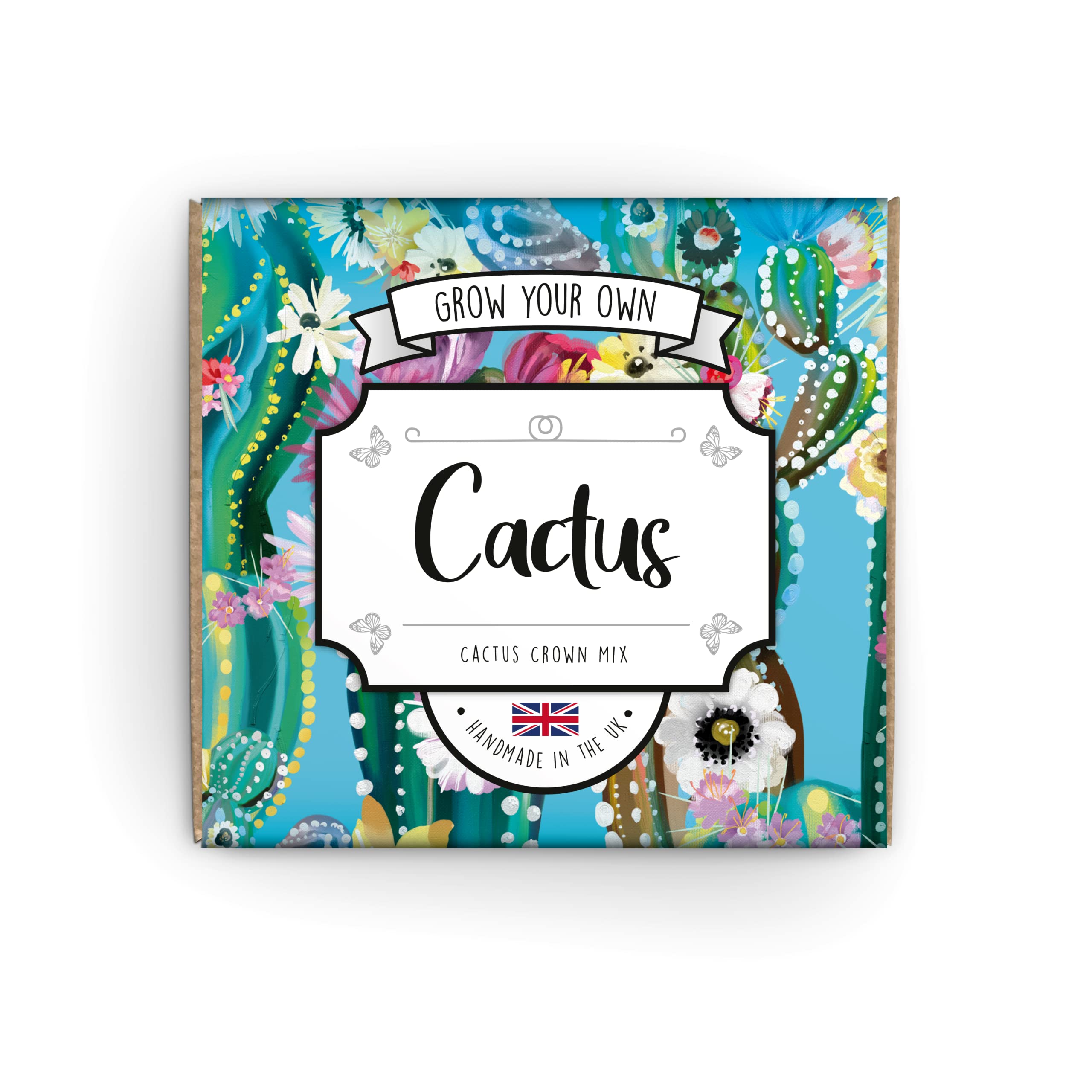 Succulent & Cactus Kit
