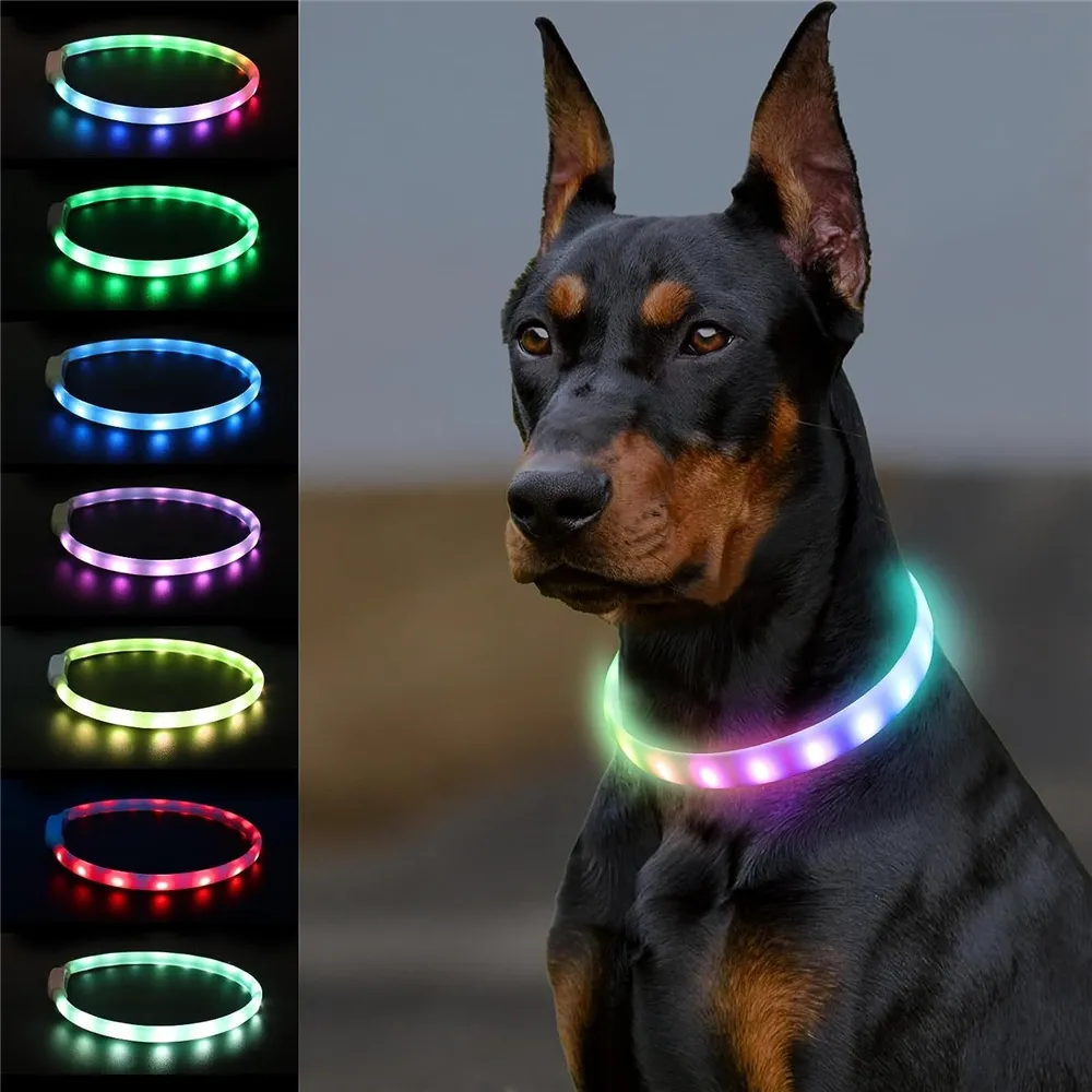 2024 yeni sıcak satış LED parlayan yaka USB şarj edilebilir parlak Led köpek kedi kayışları ayarlanabilir kişiselleştirilmiş Led evcil yaka