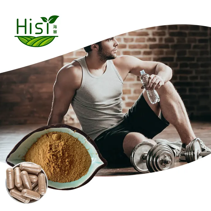 Vente en gros de soins aux herbes thé homme fort maca et ginseng extrait bâton label privé ok de l'usine