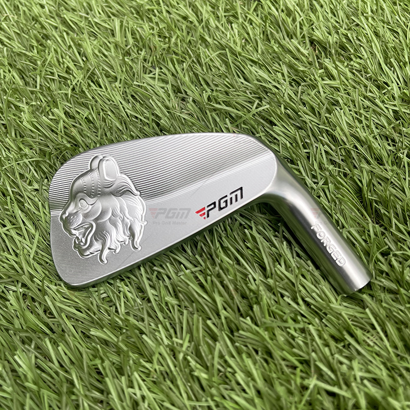 cabeza de hierro de golf 4