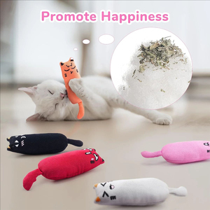 Premium Natural <strong>Catnip</strong> Plush <strong>Cat</strong> <strong>Toys</strong> Soft Interactive Pet Gifts for <strong>Cats</strong>