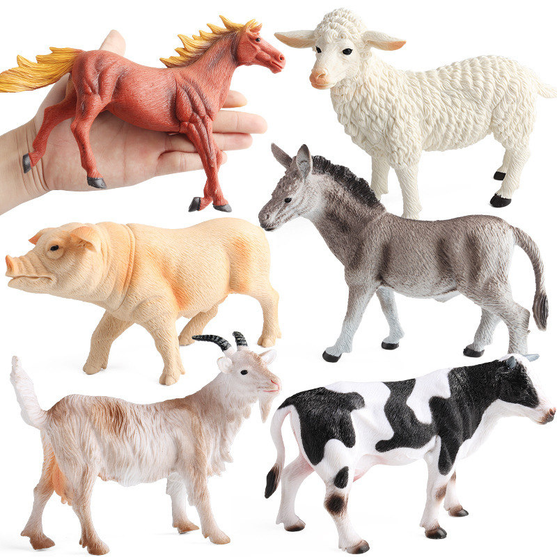 HFM grande animale cavo 6 set