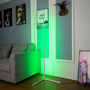 Amazon Shopify trend ürünleri 2022 ev dekor zemin lambası uzaktan kumanda ile uzaktan kumanda ile renkli RGB artı sıcak beyaz kısılabilir - Product Image 3