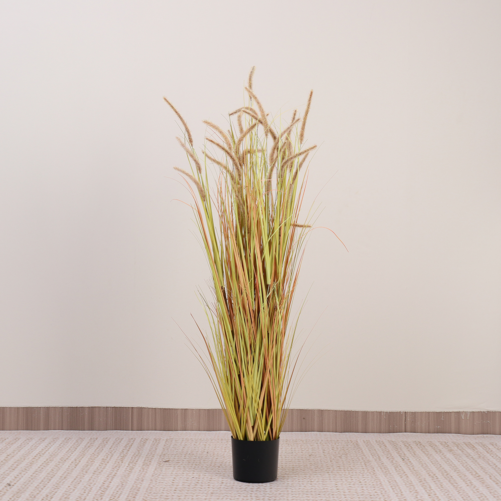Green 150cm Autumn Color Foxtail Grass
