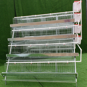 Prix de gros d'usine 3/4 niveaux 4/5 portes <span class=keywords><strong>Cage</strong></span> à poulet un type de cages à batterie pour poules pondeuses pour l'élevage de volailles - Product Image 2