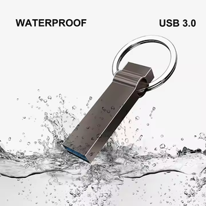 卸売OEM Cle防水メタルUsb 2.0 3.0フラッシュスティック128Mb 2Gb 4Gb 1テラバイト2テラバイトオリジナルUsbフラッシュドライブ - Product Image 3