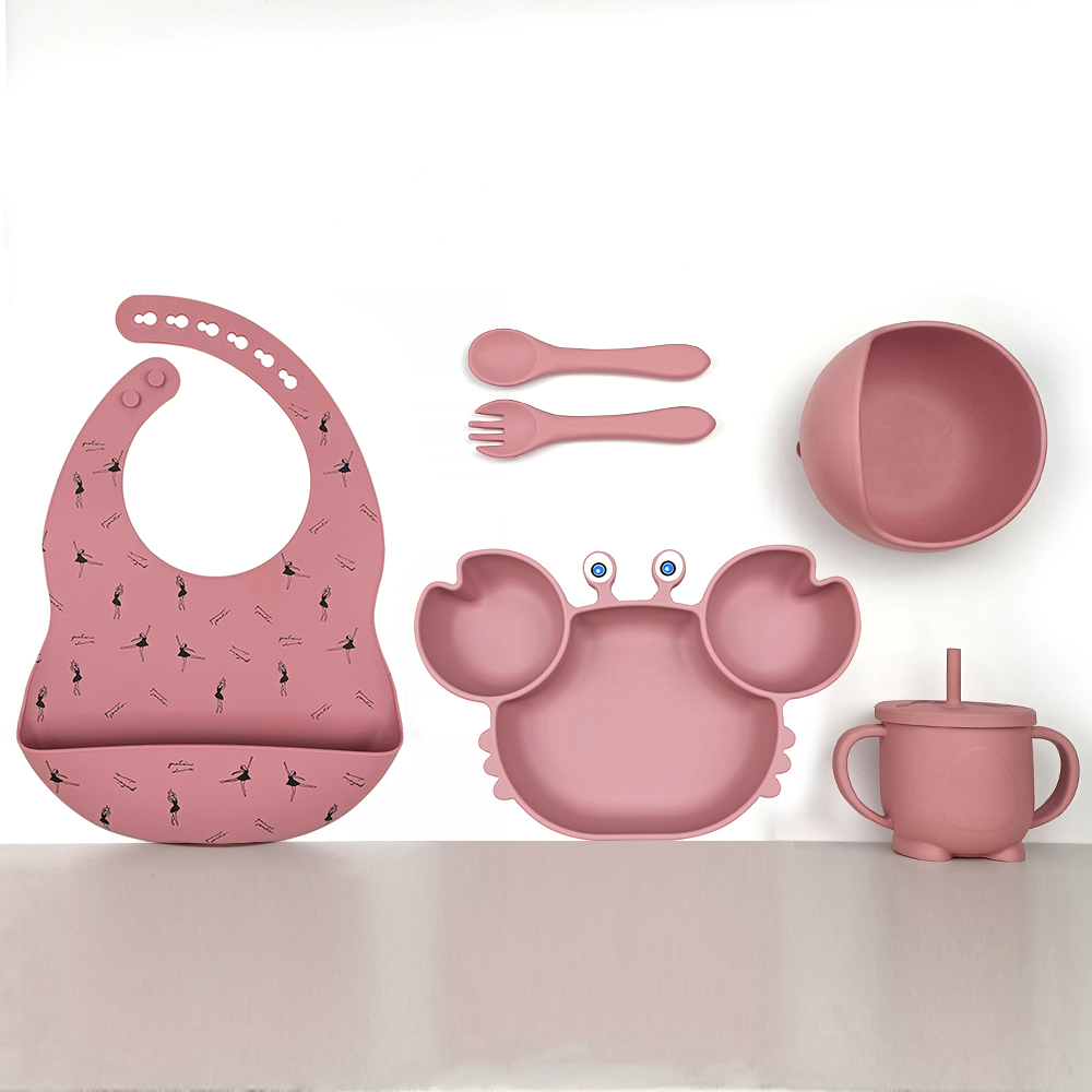SET7079FPA 14WN rosa bailarina