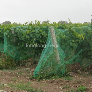 HDPE Vineyard Side Net für Trauben gegen Vögel und Wildtiere Trauben schutz netz