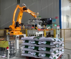 Prezzo di fabbrica braccio di trasporto per il carico e scaricare pesanti robot Palletzing Machine CNC Palletizer robotizzato con CE - Product Image 5
