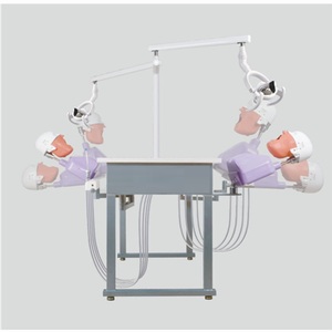 Sistema de enseñanza dental de alta calidad, tipo de unidad, equipo de laboratorio, modelo fantasma, simulador de cabeza - Product Image 4