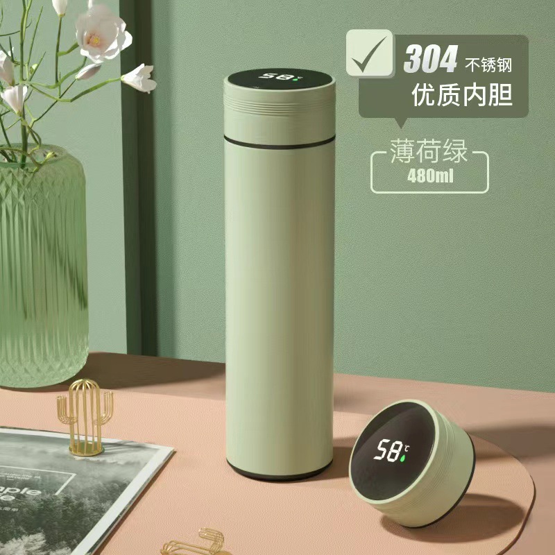 Temperature display 304 stainless steel - Peppermint green