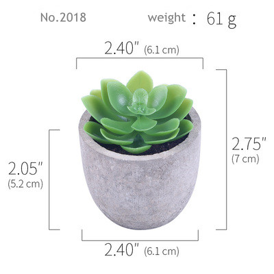 RTS2018(61g)