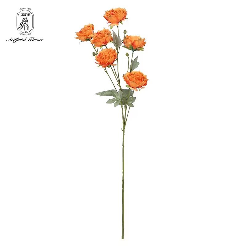 6 têtes orange