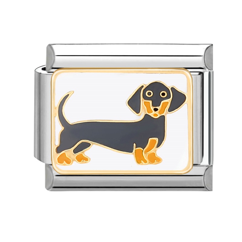 perro salchicha de plata
