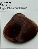 6/77 Light Chestnut Brown