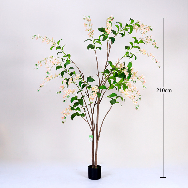 Bonsaï de jasmin pleureur doré, 210 cm