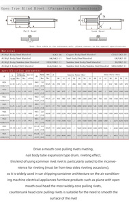 厂家定制1000件/盒不锈钢铆钉直径3.2毫米4.8毫米6.4毫米圆顶顶头OpenType盲铆钉