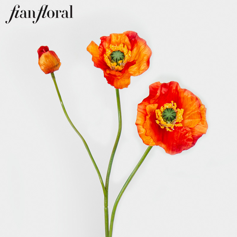 Orange-10.OR0036