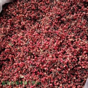 Sıcak satış doğal gıda baharat Sichuan baharatlı lezzet kırmızı Szechuan biber baharat - Product Image 4