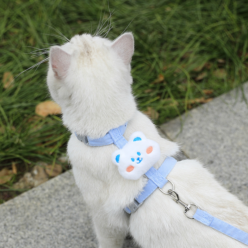 Laisse ours bleu 1,2 m (en forme de I)